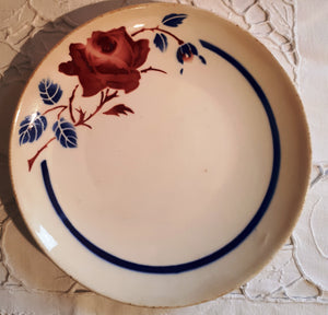 Plate rose flower and blue leaves